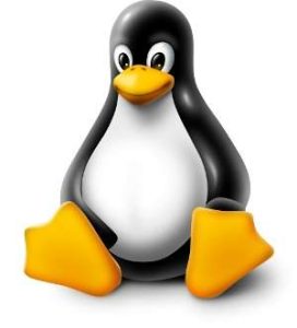 Tux - Linux logo